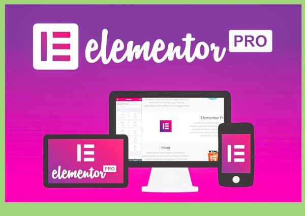 Elementor Pro Agency License – Best Price for Unlimited Use